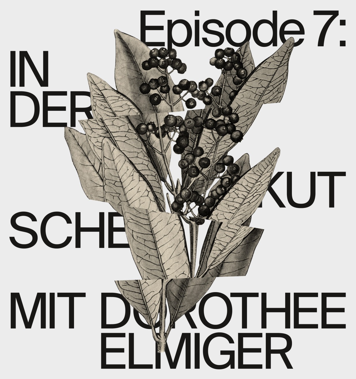 In der Kutsche mit Dorothee Elmiger