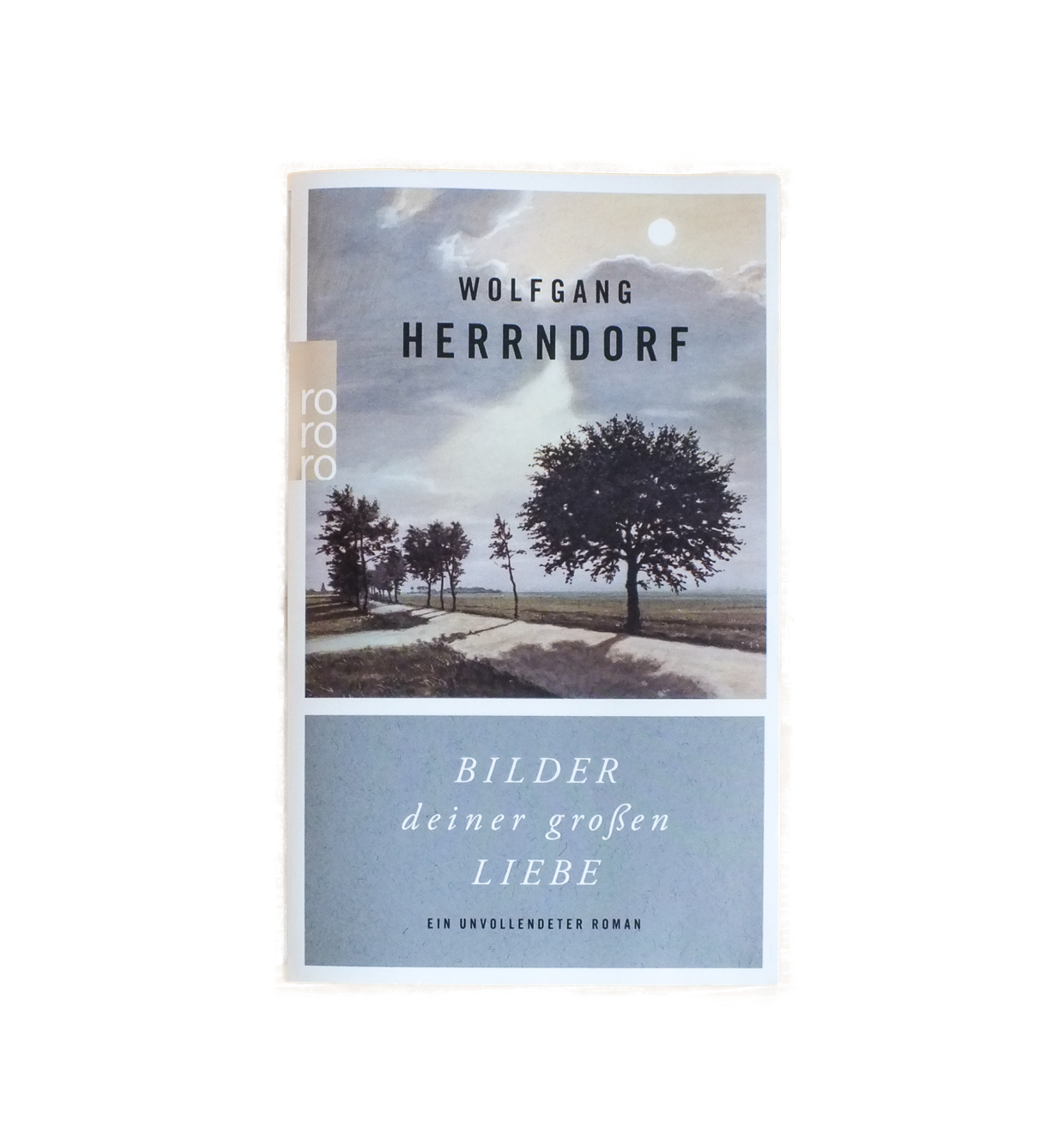 #3 Wolfgang Herrndorf: Bilder deiner großen Liebe