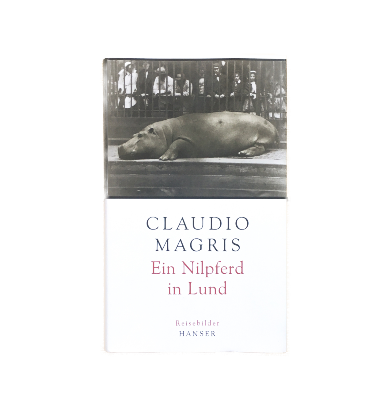 #2 Claudio Magris: Ein Nilpferd in Lund
