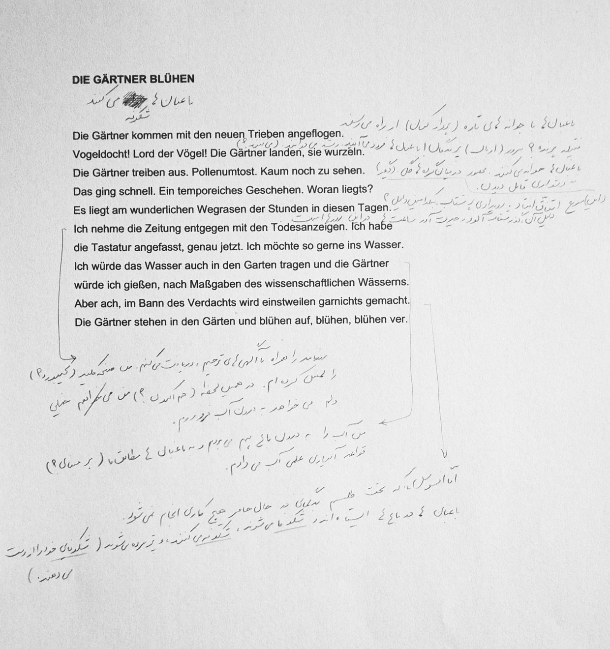 Jetzt brauchen wir eine, die Lippen lesen kann